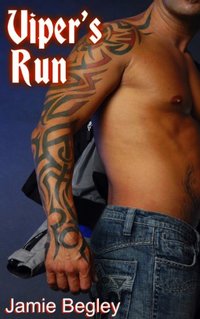 Viper's Run (The Last Riders Book 2)