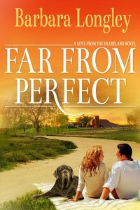 Far from Perfect (Perfect, Indiana Book 1)