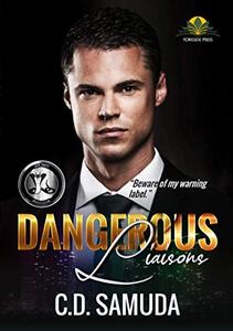 Dangerous Liaisons: The Countdown (Dangerous & Wilder Book 2)