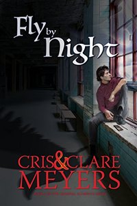 Fly by Night (Criminal Elements Book 2)