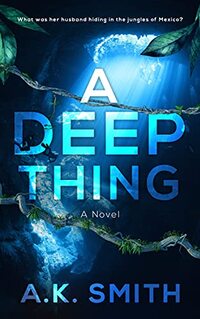 A Deep Thing: A gripping and twisty beach read filled with secrets, lies, love, and adventure