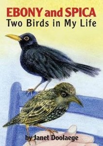 Ebony and Spica: Two Birds in My Life