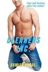 Cleaners Inc.