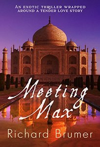 Meeting Max: An exotic thriller wrapped around a tender love story