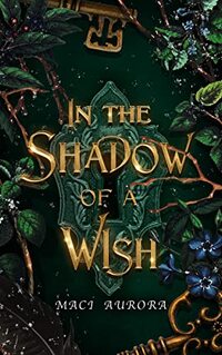 In the Shadow of a Wish: Fareview Fairytale, Book 1 (Fareview Fairytales)