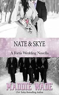 Nate and Skye: A Fortis Security Novel Book 7.5 (Fortis Security Series)