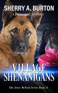 Village Shenanigans: Book 11 in the Jerry McNeal series (A Paranormal Snapshot) - Published on Nov, 2022
