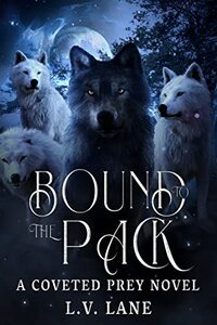 Bound to the Pack: A Dark Protectors Fantasy Romance (Coveted Prey Book 10)