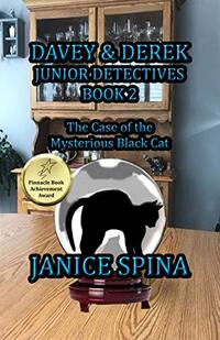 Davey & Derek Junior Detectives Series Book 2: The Case of the Mysterious Black Cat