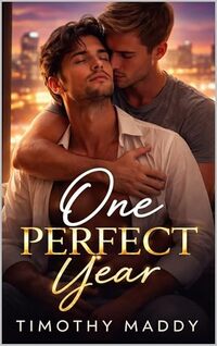 One Perfect Year