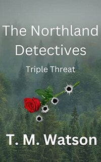 The Northland Detectives: Triple Threat