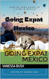 Going Expat Mexico