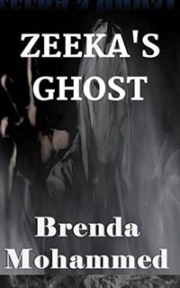 Zeeka's Ghost (Revenge of Zeeka Book 4)