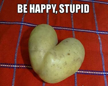 Be Happy, Stupid