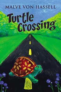 Turtle Crossing