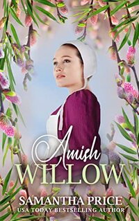 Amish Willow: Amish Romance (Amish Love Blooms Book 6)