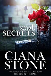 Small Secrets: a psychic suspense love story