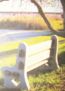 A Bench On The Beach