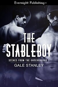 The Stableboy (Scenes from the Underground Book 3)