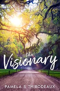 The Visionary: Edgy Inspirational Women's Fiction with Paranormal Elements