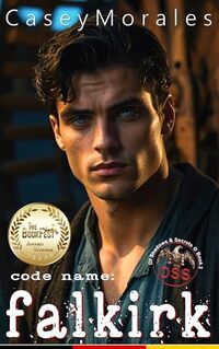 Falkirk: Eine MM-Romanze verpackt in einem Thriller aus den Thriller (Geheimnisse im Schatten 2) (German Edition)