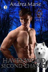 Havenwood Second Chance (Havenwood Shifters Book 3)
