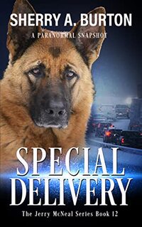 Special Delivery: Book 12 in The Jerry McNeal Series (A Paranormal Snapshot)