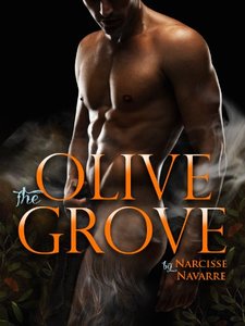 The Olive Grove