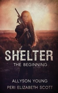 Shelter: The Beginning (Volume 1)