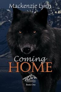 Coming Home (Naitok Valley Book 1)