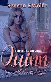 Before the Snowfall: Quinn Turns Off Her Red Light (Excerpts in the life of a Snowstorm)