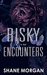 Risky Encounters: BWWM Romantic Suspense (Risks & Betrayals Duet Book 1)