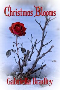 Christmas Blooms