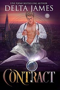 Contract (A Paranormal Mystery Book 4)