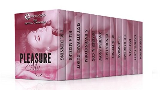 Pleasure Me (Erotica Box Set): 21 Complete Novels & Novellas from your Favorite Erotica Authors