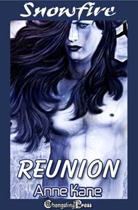 Reunion (Snowfire 3): A BDSM Women’s Fiction Hot Flash