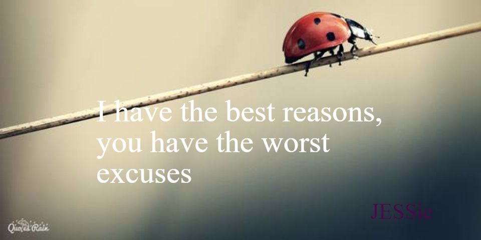 i have the best reasons you have the worst excuses...
