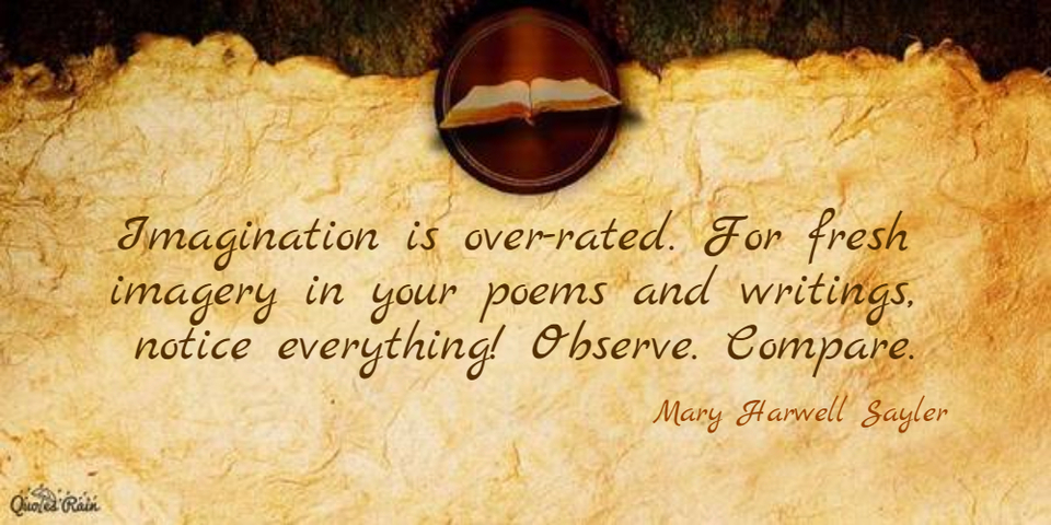 imagination is overrated for fresh imagery notice details observe compare...