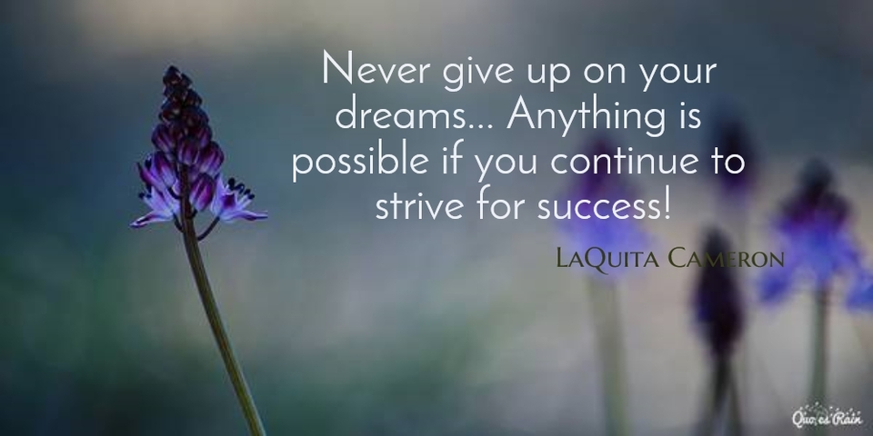 never give up on your dreams anything is possible if you continue to strive for...