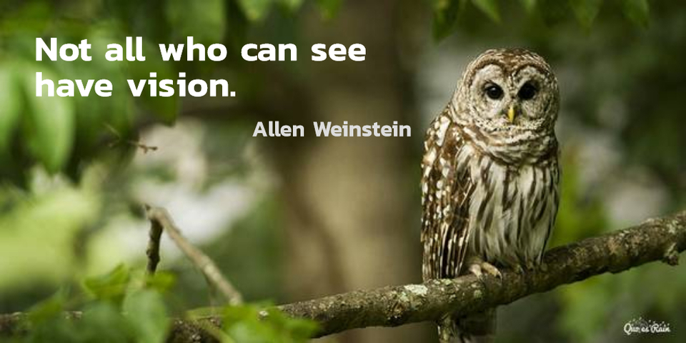 not all who can see have vision...