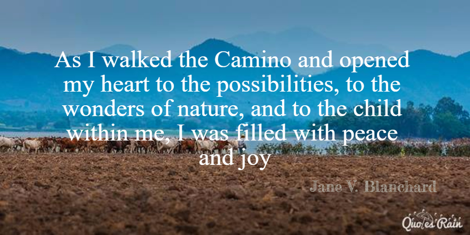 as i walked the camino and opened my heart to the possibilities to the wonders of...