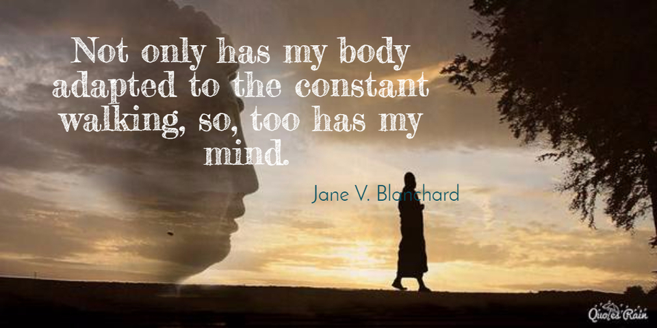 not only has my body adapted to the constant walking so too has my mind...