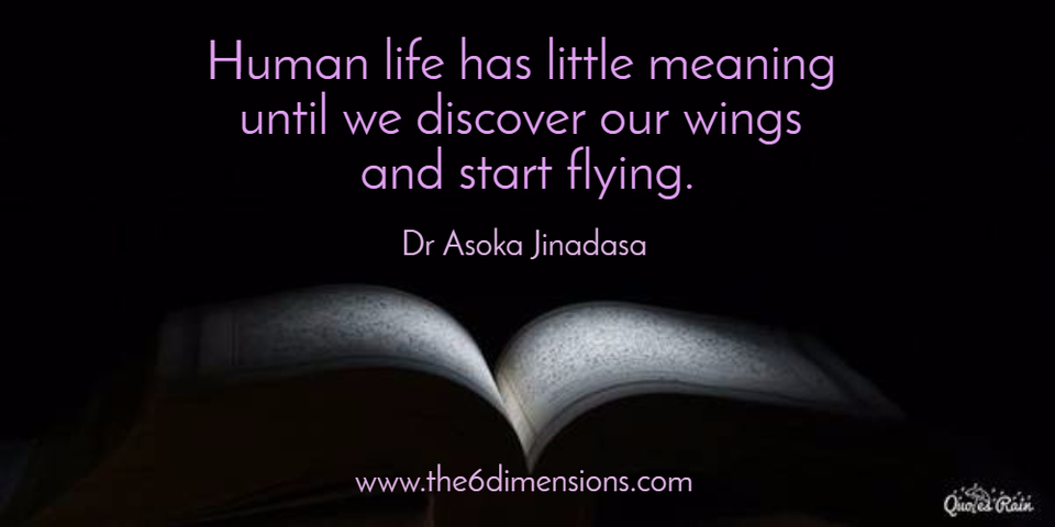 human life has little meaning until we discover our wings and start flying...