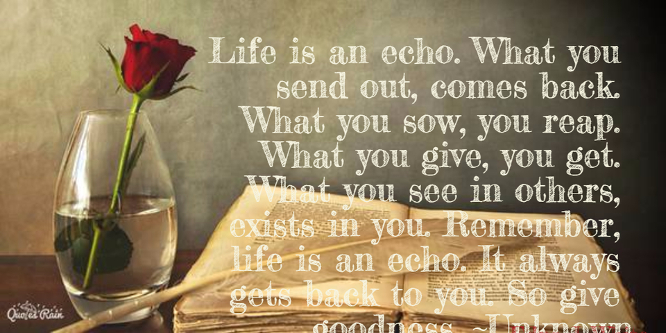 life is an echo what you send out comes back what you sow you reap what you give...