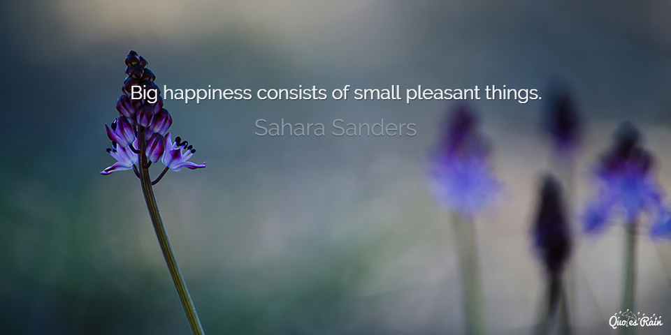 big happiness consists of small pleasant things...