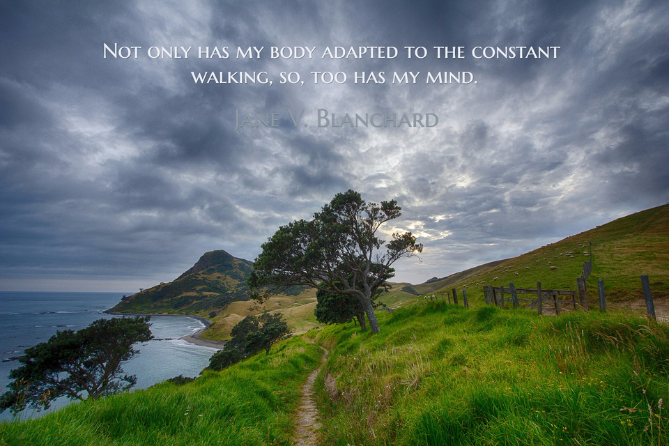not only has my body adapted to the constant walking so too has my mind...