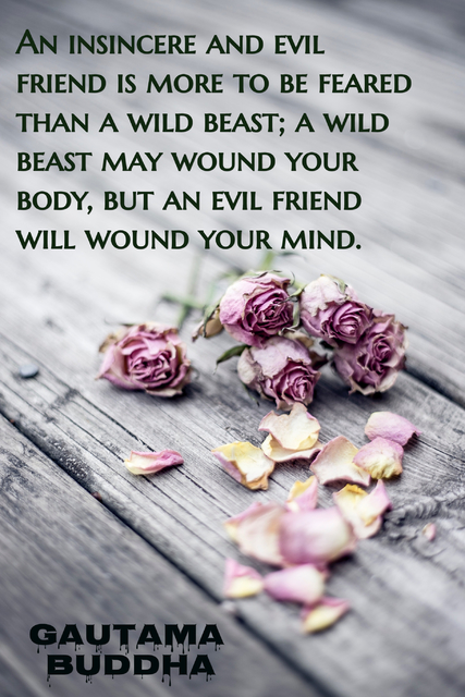 an insincere and evil friend is more to be feared than a wild beast a wild beast may...