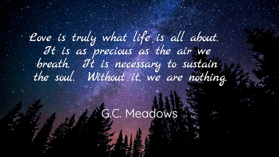 love is truly what life is all about it is as precious as the air we breath it is...