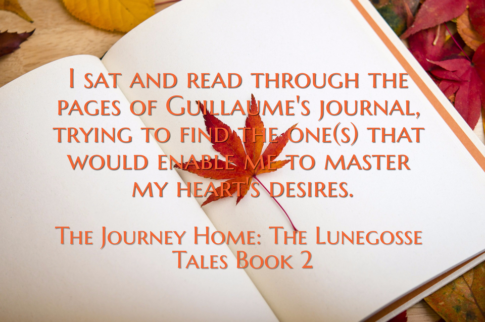 i sat and read through the pages of guillaumes journal trying to find the ones that...