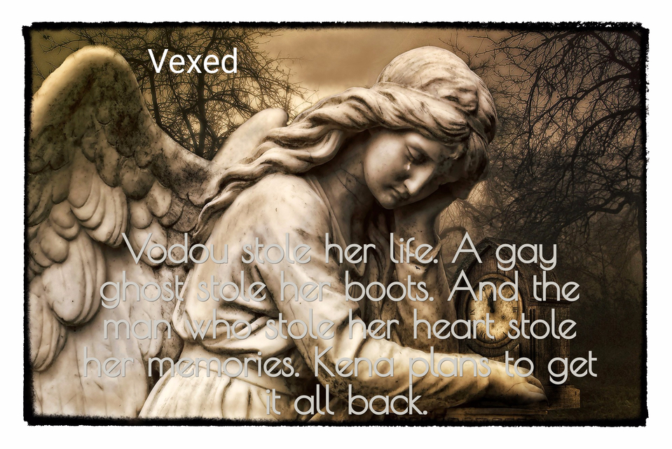 vodou stole her life a gay ghost stole her boots and the man who stole her heart stole...